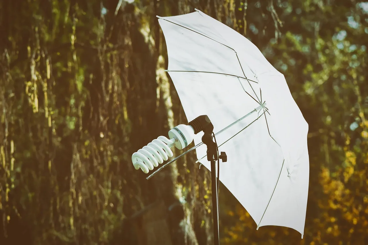 photo lamp, umbrella, light, taking photos, equipment, accessories, lamp, shining. What a new photo booth rental business owner needs to buy: the equipment list